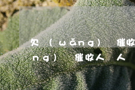 欠網(wǎng)貸催收人罵人(欠網(wǎng)貸催收人罵人)