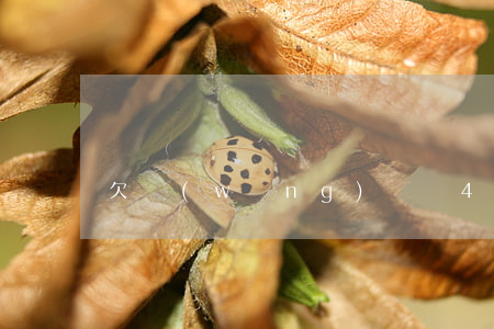 欠網(wǎng)貸債40萬無力償還怎辦