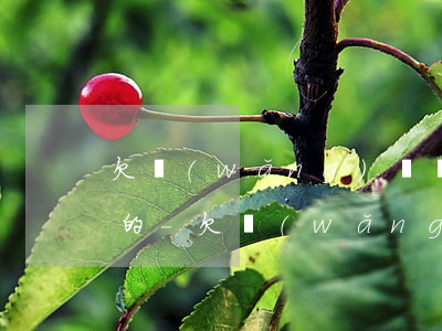 欠網(wǎng)貸債務委托延期是不是真的-欠網(wǎng)貸債務委托延期是不是真的假的