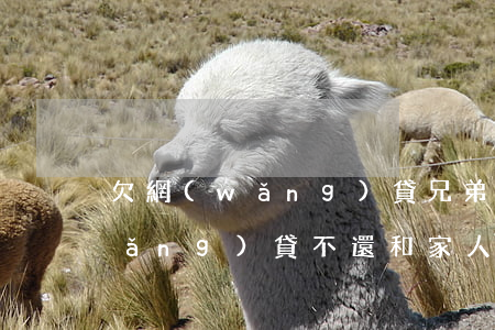 欠網(wǎng)貸兄弟反目(弟弟欠網(wǎng)貸不還和家人有關(guān)嗎)