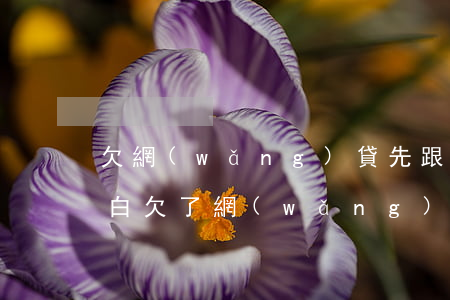 欠網(wǎng)貸先跟親戚說再跟父母坦白(欠了網(wǎng)貸和父母坦白)