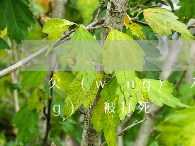 欠網(wǎng)貸入室搶劫(欠網(wǎng)貸被打死)
