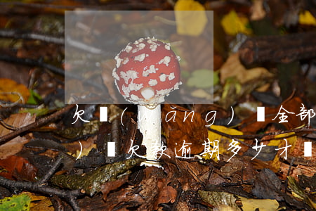 欠網(wǎng)貸全部逾期(網(wǎng)貸欠款逾期多少才會被起訴)
