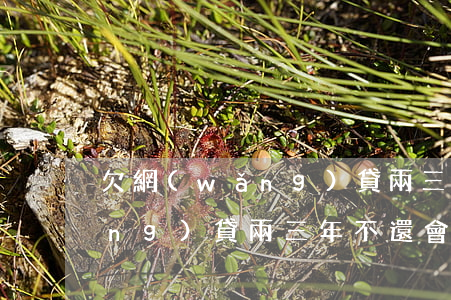 欠網(wǎng)貸兩三年不還(欠網(wǎng)貸兩三年不還,會(huì)不會(huì)利息滾到幾十萬(wàn))