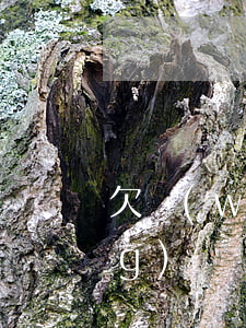 欠網(wǎng)貸兩三年了(欠網(wǎng)貸兩三年了)