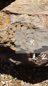 欠網(wǎng)貸兩個(gè)月還不上怎么辦(欠網(wǎng)貸兩年多還不起怎么辦?)