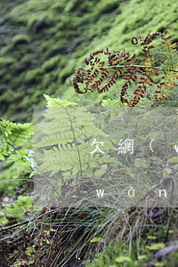 欠網(wǎng)貸兩個月會被上門嗎(網(wǎng)貸逾期兩個月會上門嗎)