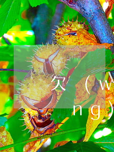 欠網(wǎng)貸兩千一年沒還(欠網(wǎng)貸二年沒還會怎樣)