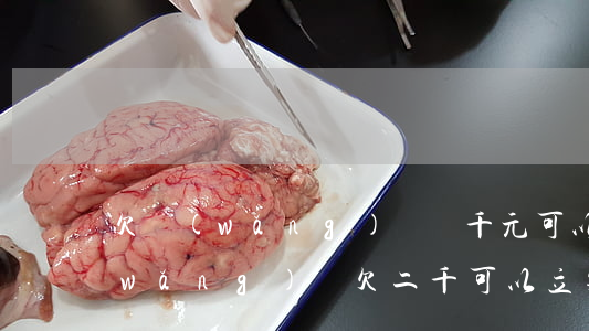 欠網(wǎng)貸兩千元可以立案嗎(網(wǎng)貸欠二千可以立案嗎)