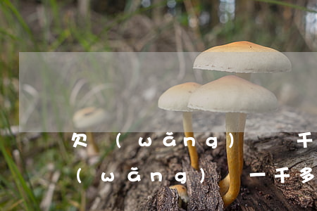 欠網(wǎng)貸兩千元可以起訴嗎(欠網(wǎng)貸一千多塊可以起訴嗎)