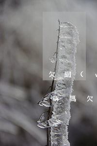 欠網(wǎng)貸兩千多會(huì)起訴嗎(欠網(wǎng)貸2千多會(huì)被起訴嗎)