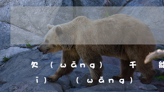 欠網(wǎng)貸兩千沒還能做飛機(jī)嗎(網(wǎng)貸沒還坐飛機(jī)會發(fā)現(xiàn)嗎)