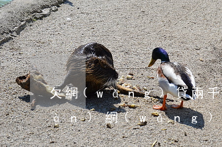 欠網(wǎng)貸兩千逾期了(欠6萬(wàn)網(wǎng)貸都要逾期了)
