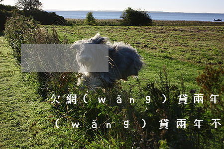 欠網(wǎng)貸兩年不還會怎么樣(欠網(wǎng)貸兩年不還會怎么樣)