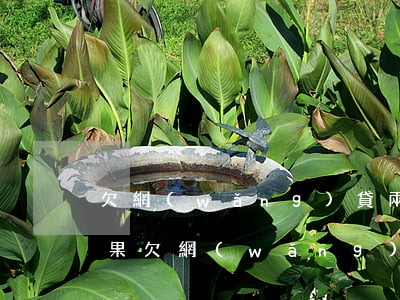 欠網(wǎng)貸兩年了都沒還有什么后果(欠網(wǎng)貸幾年都沒還會怎么樣)