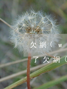 欠網(wǎng)貸兩萬(wàn)多一年了(欠網(wǎng)貸了兩萬(wàn)三年沒(méi)還)