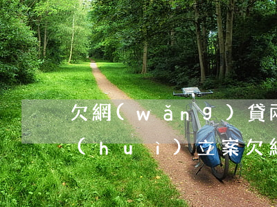 欠網(wǎng)貸兩萬(wàn)多久會(huì)立案(欠網(wǎng)貸1萬(wàn)多會(huì)立案嗎)