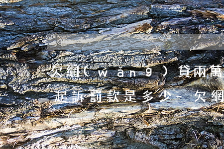 欠網(wǎng)貸兩萬(wàn)多久被起訴罰款是多少-欠網(wǎng)貸兩萬(wàn)多久被起訴罰款是多少呢