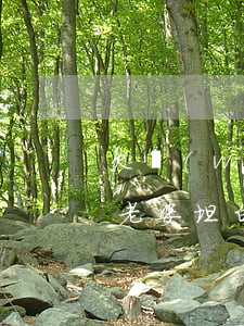 欠網(wǎng)貸兩萬(wàn)多該和老婆坦白嗎(網(wǎng)貸欠了20萬(wàn)跟老公坦白)