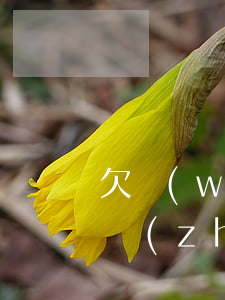 欠網(wǎng)貸兩萬(wàn)怎么周轉(zhuǎn)(欠網(wǎng)貸兩萬(wàn)怎么周轉(zhuǎn))