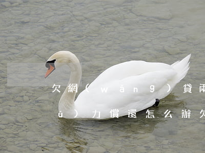 欠網(wǎng)貸兩萬(wàn)無(wú)力償還怎么辦(欠網(wǎng)貸2萬(wàn)無(wú)力償還怎么辦)