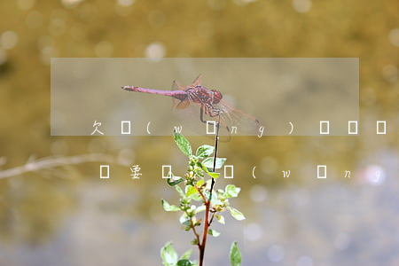 欠網(wǎng)貸兩萬(wàn)真的上門要嗎(欠網(wǎng)貸兩三千會(huì)找上門嗎)