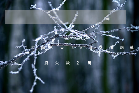 欠網(wǎng)貸兩萬不還(網(wǎng)貸欠款2萬)