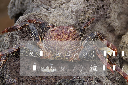 欠網(wǎng)貸兩萬五會(huì)不會(huì)被凍結(jié)銀行卡-欠網(wǎng)貸兩萬五會(huì)不會(huì)被凍結(jié)銀行卡呢