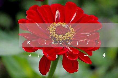 欠網(wǎng)貸兩萬會不會坐牢(欠網(wǎng)貸一萬多會坐牢嗎)