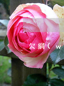 欠網(wǎng)貸兩萬逾期五百天