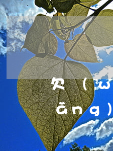 欠網(wǎng)貸兩萬逾期怎樣還(網(wǎng)貸逾期2千多不還會怎么樣)