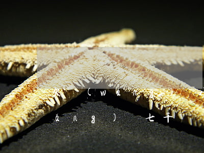 欠網(wǎng)貸八千被起訴了(欠網(wǎng)貸七千塊錢(qián)被起訴)