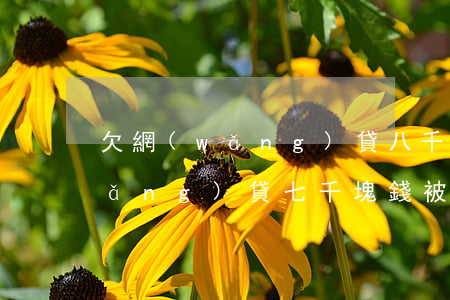 欠網(wǎng)貸八千被起訴了(欠網(wǎng)貸七千塊錢被起訴)