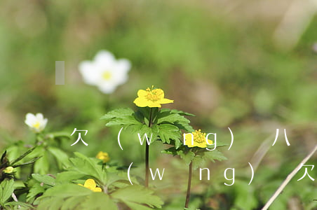 欠網(wǎng)貸八萬(wàn)塊怎么辦(網(wǎng)貸欠一萬(wàn)八怎么辦)