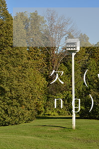 欠網(wǎng)貸八萬如何自救(網(wǎng)貸欠8萬自救方法)