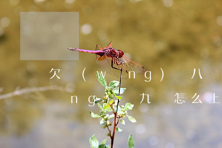 欠網(wǎng)貸八萬怎么上岸(欠網(wǎng)貸九萬怎么上岸)