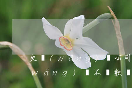 欠網(wǎng)貸公司不還的下場(欠網(wǎng)貸不還款會怎么樣)