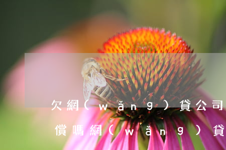欠網(wǎng)貸公司勸退有補(bǔ)償嗎(網(wǎng)貸逾期被公司辭退怎樣賠償)