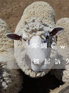 欠網(wǎng)貸公司多久會(huì)被起訴(欠網(wǎng)貸多久可以起訴)
