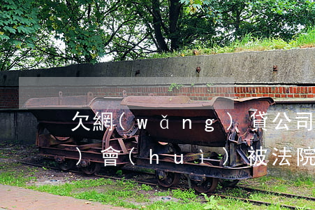 欠網(wǎng)貸公司多少錢(qián)會(huì)被法院執(zhí)行(欠網(wǎng)貸法院會(huì)強(qiáng)制執(zhí)行嗎)