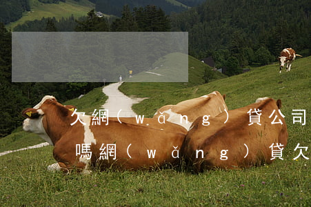 欠網(wǎng)貸公司幾百塊錢會被坐牢嗎(網(wǎng)貸欠款一萬多會坐牢嗎)