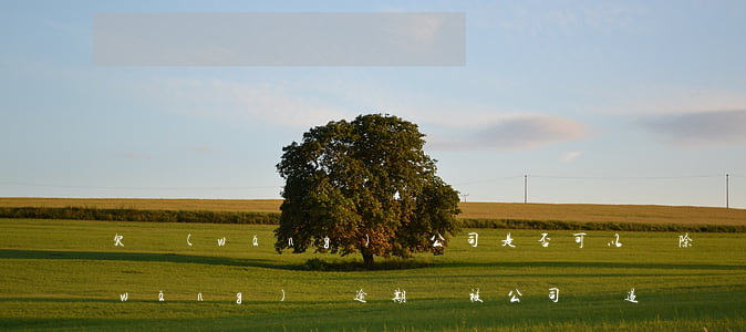 欠網(wǎng)貸公司是否可以開除(網(wǎng)貸逾期會被公司辭退嗎?)