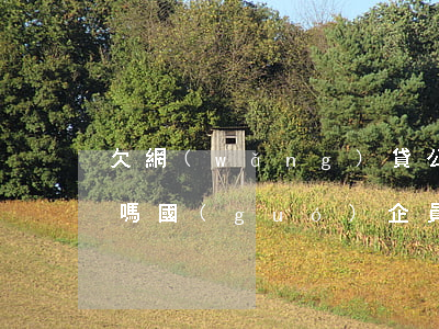 欠網(wǎng)貸公司會(huì)解雇嗎(國(guó)企員工欠網(wǎng)貸會(huì)被開(kāi)除嗎)