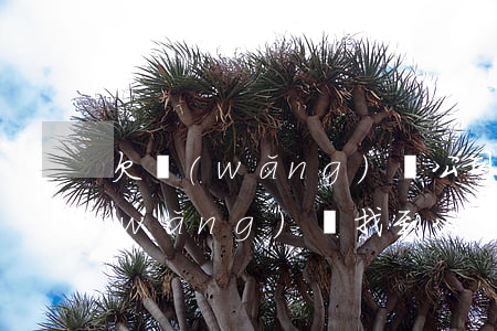 欠網(wǎng)貸公司會辭退我嗎(欠網(wǎng)貸找到公司,公司會辭掉我嗎)