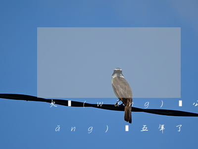 欠網(wǎng)貸公司的前四年(欠網(wǎng)貸五年了)