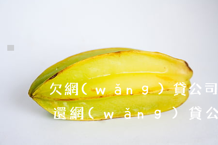 欠網(wǎng)貸公司的錢到底該不該去還(網(wǎng)貸公司倒閉了欠的錢不還會怎么樣)