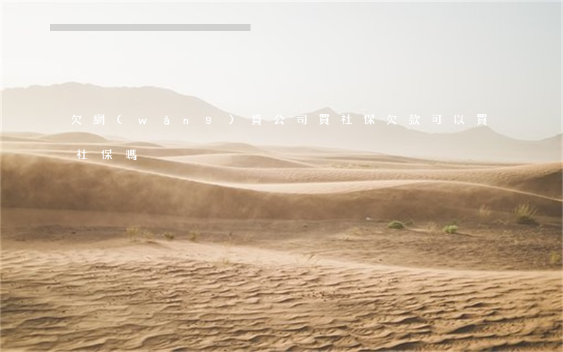 欠網(wǎng)貸公司買社保(欠款可以買社保嗎)