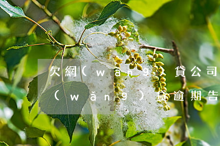 欠網(wǎng)貸公司逾期了說我詐騙(網(wǎng)貸逾期告我詐騙罪怎么辦)