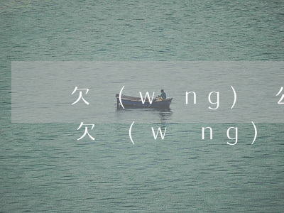 欠網(wǎng)貸公司錢不還可以起訴嗎(欠網(wǎng)貸錢被起訴了確實沒有錢還怎么辦)