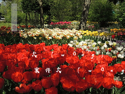 欠網(wǎng)貸公司錢不還起訴是什么案件(欠網(wǎng)貸公司錢被起訴會怎么樣)